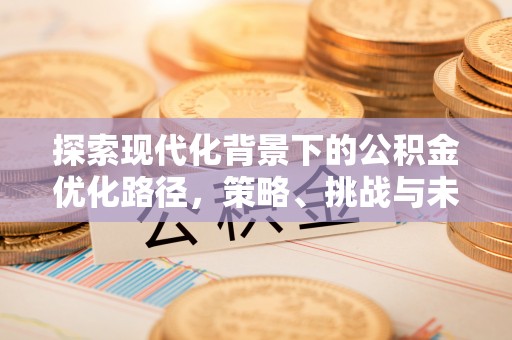 马公探索现代化背景下的公积金优化路径，策略、挑战与未来展望