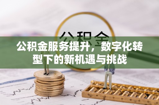 马公公积金服务提升，数字化转型下的新机遇与挑战