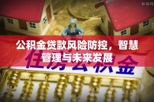 马公公积金贷款风险防控，智慧管理与未来发展