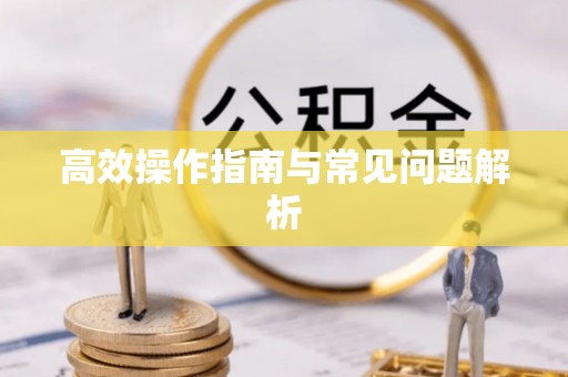 马公高效操作指南与常见问题解析