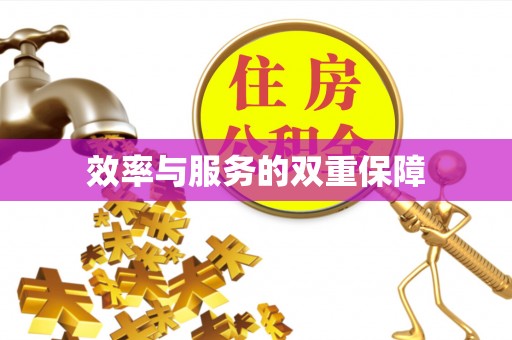 马公效率与服务的双重保障