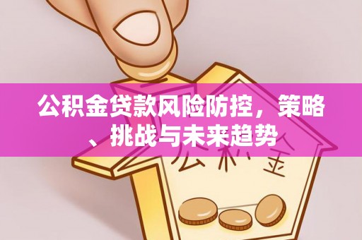 马公公积金贷款风险防控，策略、挑战与未来趋势