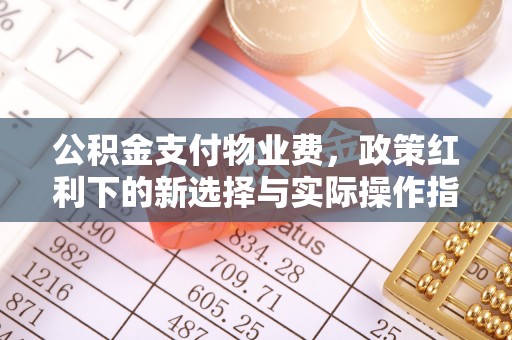 马公公积金支付物业费，政策红利下的新选择与实际操作指南