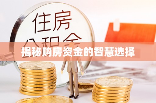 马公揭秘购房资金的智慧选择
