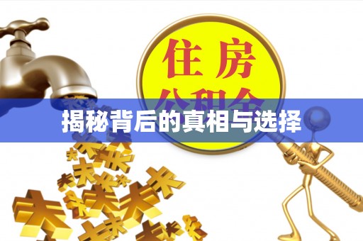 马公揭秘背后的真相与选择