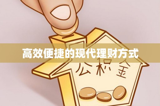 马公高效便捷的现代理财方式