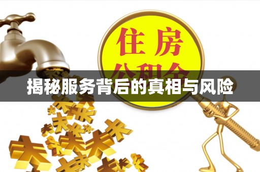马公揭秘服务背后的真相与风险