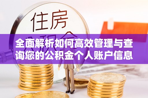 马公全面解析如何高效管理与查询您的公积金个人账户信息