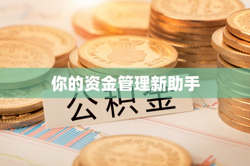 马公你的资金管理新助手