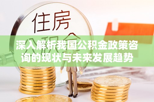 马公深入解析我国公积金政策咨询的现状与未来发展趋势