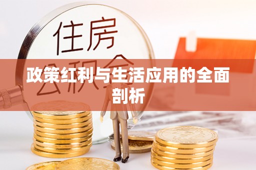 马公政策红利与生活应用的全面剖析