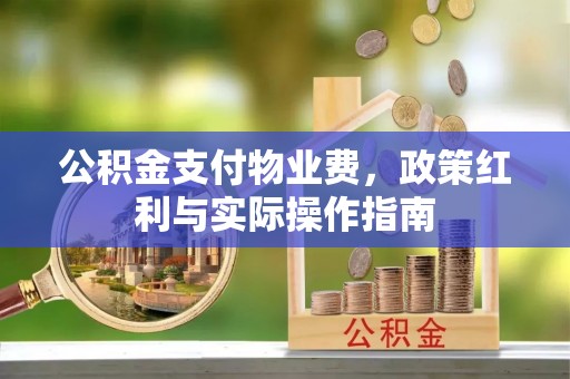 马公公积金支付物业费，政策红利与实际操作指南
