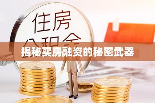马公揭秘买房融资的秘密武器
