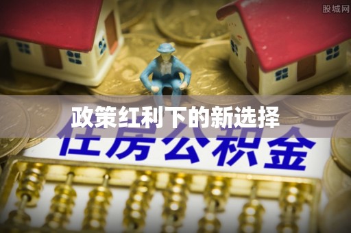 马公政策红利下的新选择