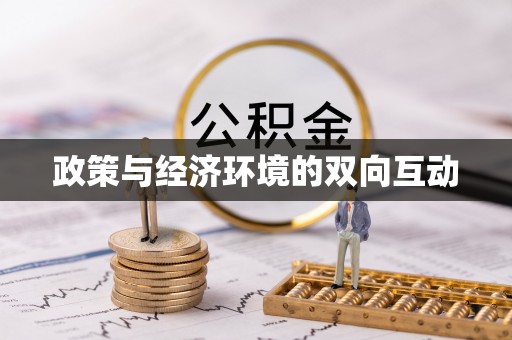 马公政策与经济环境的双向互动