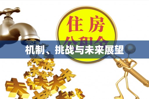 马公机制、挑战与未来展望